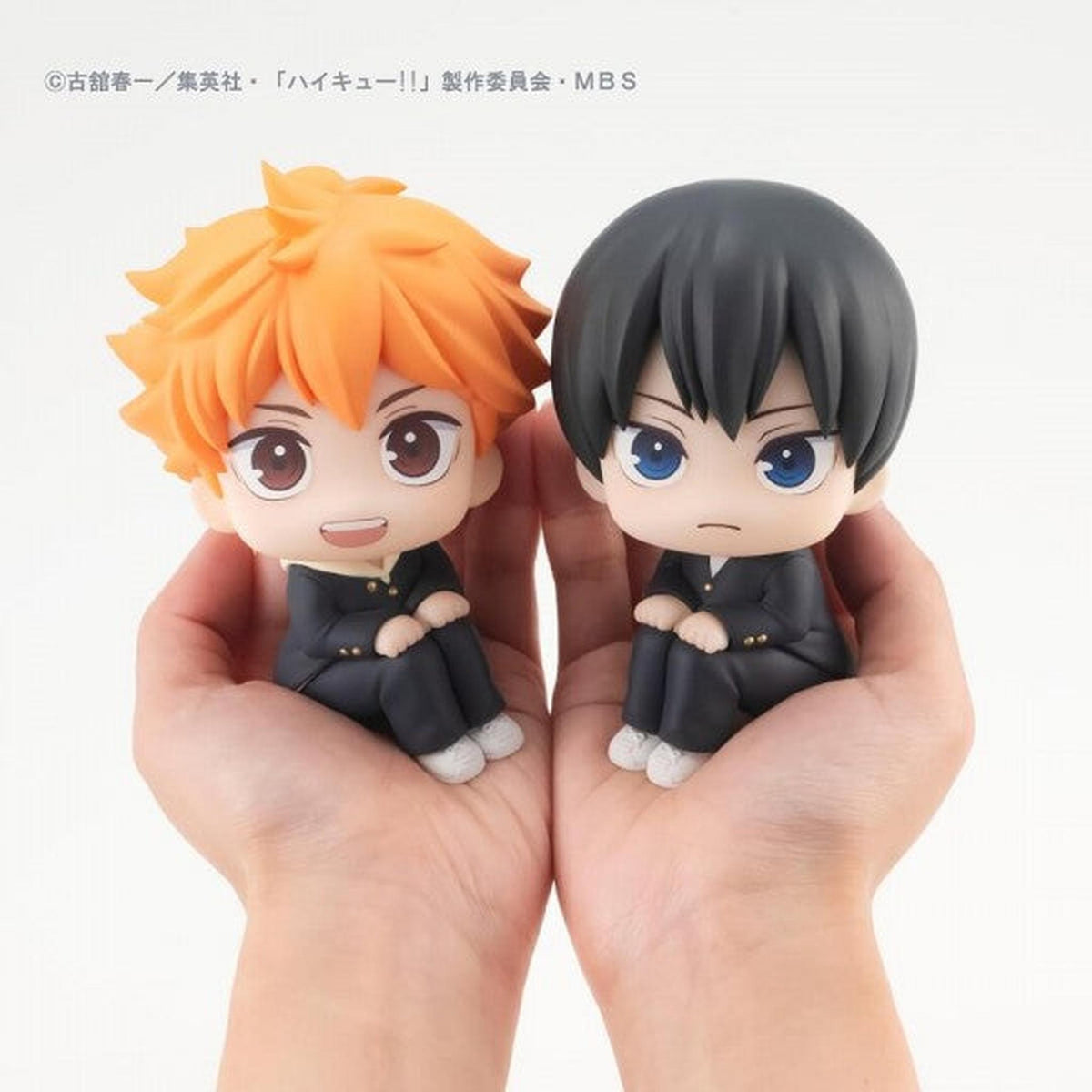 Haikyu!! - Lookup - Shoyo Hinata &amp; Tobio Kageyama Set [WITH GIFT]