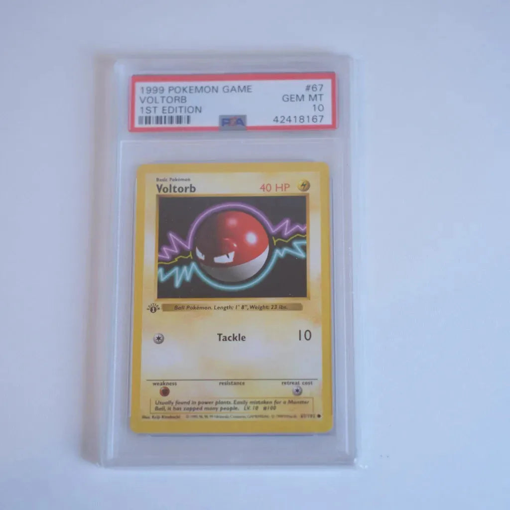 Pokémon - 1st Edition Shadowless Voltorb (PSA 10)