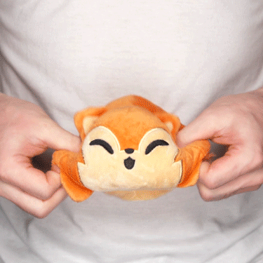 Tee Turtle - Reversible Werewolf Plushie