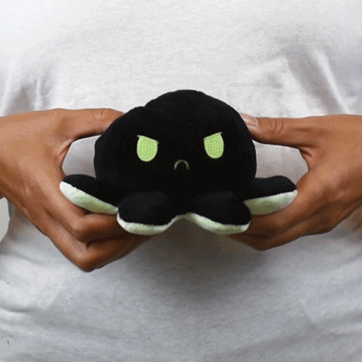 Tee Turtle - Reversible Octopus Plushie